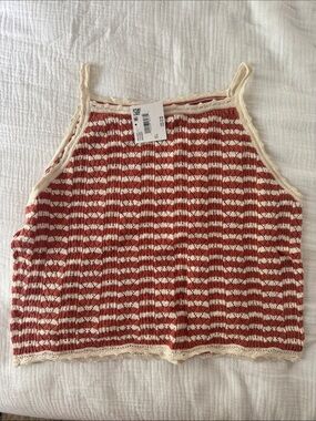 American Eagle Outfitters Striped Knit Cami Tank in Rust and Cream